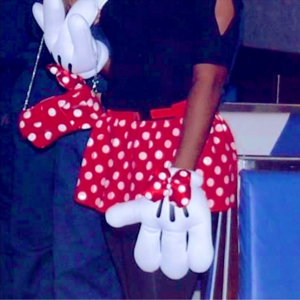 Tokyo Disney Minnie Mouse Skirt and Purse Costume